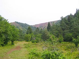 Le puy de la Vache
