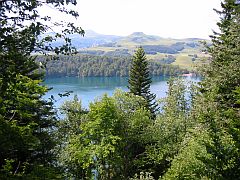 Impossible d'avoir une ve dégagée sur le lac