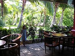 Vue depuis le bar