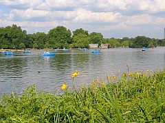 Le serpentine