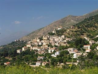 Oletta