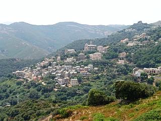 Rogliano
