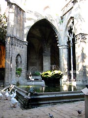 Les oies du cloitre
